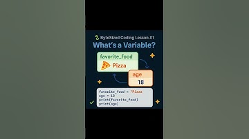 Variables in Programing