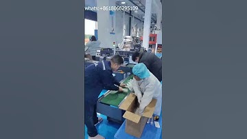 single fork automatic packing machine ,fork wrapping machine ,disposable fork packaging machine