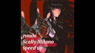 гнида scally milano speed up