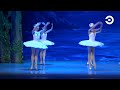 В Пензе труппа Классического национального русского балета представила «Лебединое озеро»