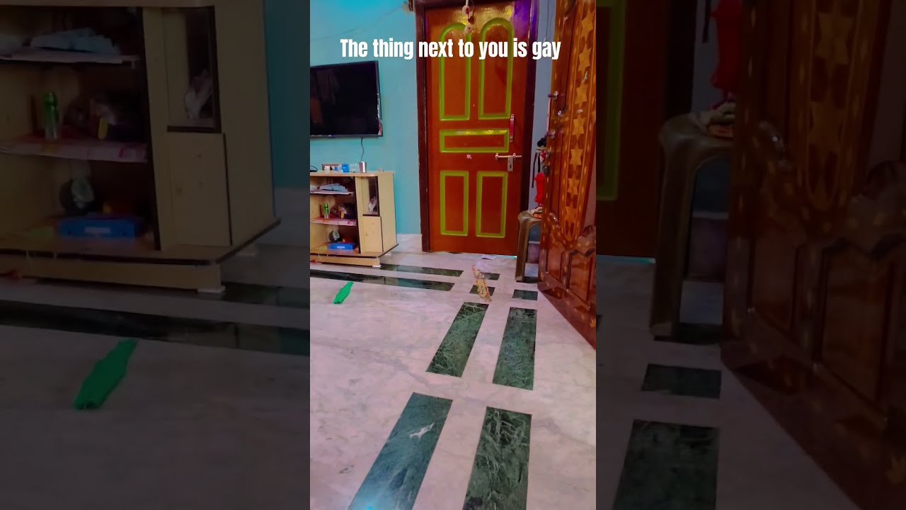 The Things Next To You Is Gay 