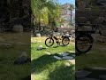 La cargo bike dal bellissimo design e multifunzionale
