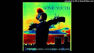 Sonic Youth - Society Is a Hole (Acapella)