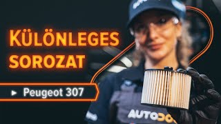 Nézze meg oktatóvideóinkat, és végezze el a rutinszerű PEUGEOT karbantartási munkálatokat egyedül