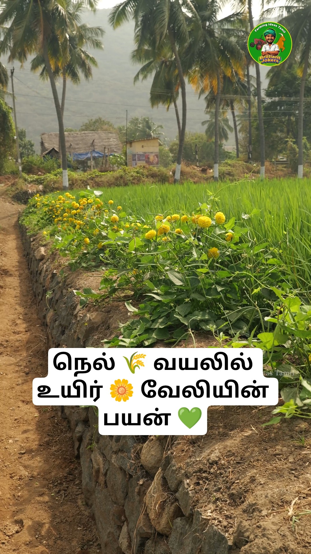 இயற்கை விவசாயம் - ShareChat