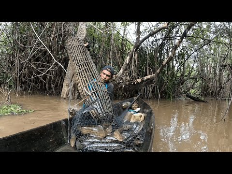 DISAAT AIR RAWA MULAI NAIK, LIHATLAH APA YANG TERJADI..!? FULL PANEN IKAN BESAR PULUHAN KG...