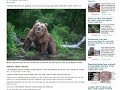 Russo é achado vivo e ‘mumificado’ após um mês mantido ‘refém’ de urso