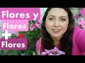 Cómo hacer que las plantas florezcan, receta casera sencilla para tener más flores