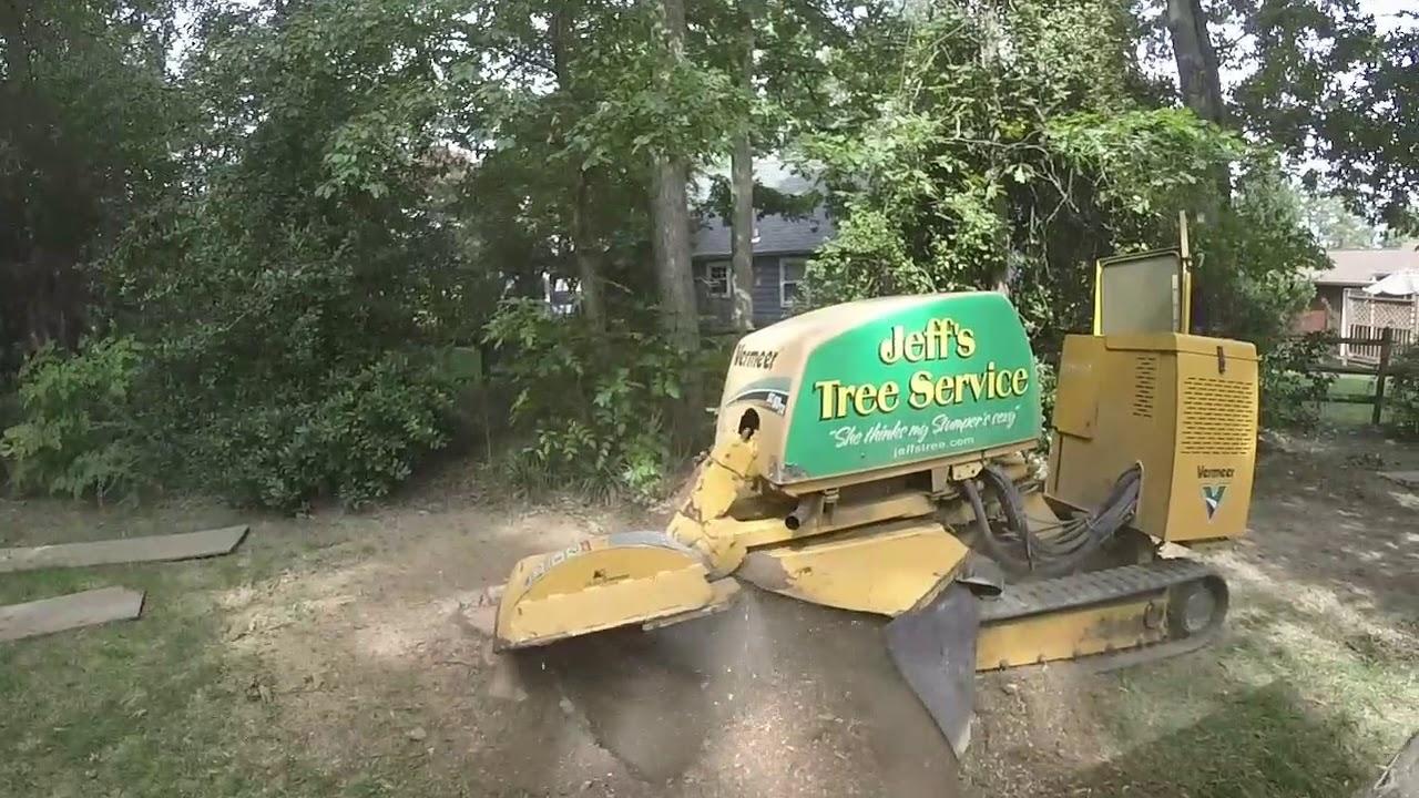 jeff s tree service hollywood jeffs tree service hollywood md youtube jeff s tree service hollywood jeffs tree service hollywood md youtube