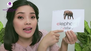 UNIT 2 : E - ELEPHANT- CÔ GIÁO VIOLET PHAM