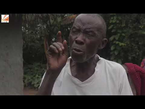 FDA Authorized Company's Illegal Logging on Private Land