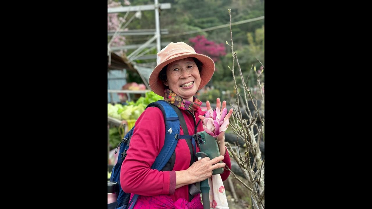 合庫週二登山隊-20260224二子坪遊客服務中心-大屯自然公園-十八灣古道-三芝車埕櫻花谷-捷運淡水站