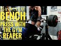How to bench press like a pro  gym reaper bench basics