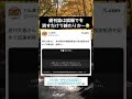 本当に週刊誌ってさあ【政治】
