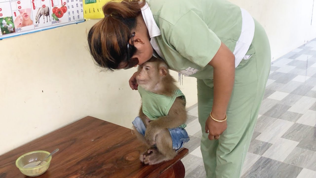 Little Jason Stunned Wait Mom Persuade Kiss Scare With Birds