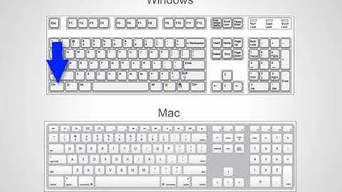 Getting Started - Navigating the Software