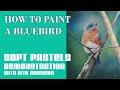 How to paint a bluebird with rita ginsberg  learn to paint birds series  wildlife art in pastel