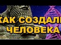 Найдена книга ,кто создавал человека (часть1)