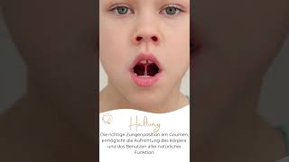 Entwicklungsraum Mund #dentosophie#feingefühldresden #mundentwicklung #elternwissen #osteopathie