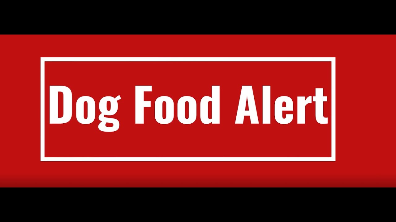 Warning! Dog Food Recall 6.15.2021 Alert from FDA. - YouTube