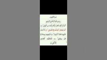 سورة الفيل بتلاوة الشيخ  ياسر الدوسري #سورة #الفيل #ياسر #الدوسري