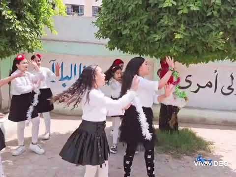 استعراض الجمال معاملة