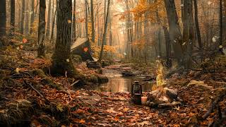 In the Glow of Fire and Falling Leaves | A Cozy Autumn Forest Scene for Hearts Seeking Calm & Beauty