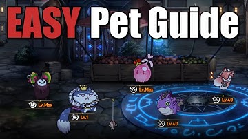Easy SSS Pet Guide | Epic Seven