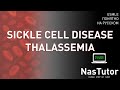 Глобин: строение, талассемии, серповидноклеточная анемия, HbC | USMLE Step 1,2 на русском