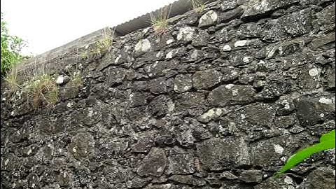 swifts 2010 - a very difficult nest site