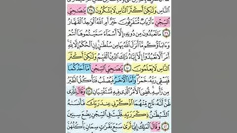 تيسير حفظ سورة يوسف بالتكرار الوجه السادس الآيات (38-43) مكرر 5 مرات بصوت الشيخ عبد الباسط عبد الصمد