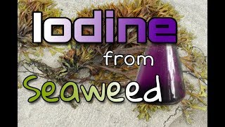 Iodine From Seaweed