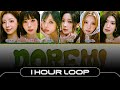 [1 HOUR] PURPLE KISS DOREMI (English Ver.) Lyrics (Color Coded Lyrics)
