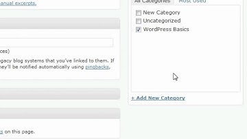 Writing & Publishing Posts with WordPress