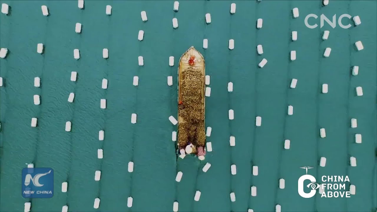 tv kanalları China From Above: Fujian|I love you, China