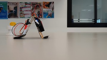Microbit - Inchworm Robot Movement