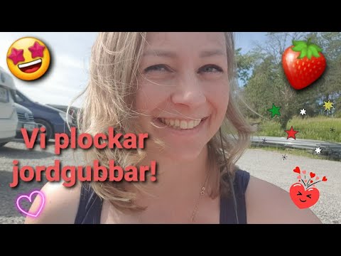 Video: Blåögda Jordgubbar Har En Gemensam Förfader - Alternativ Vy