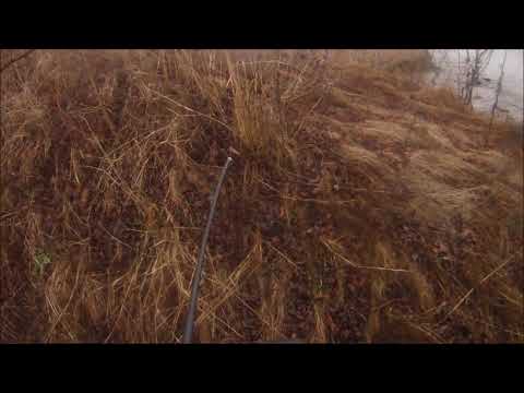 Охота на лисицу 261119