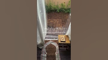{ لا تحزن إن الله معنا فأنزل الله سكينته عليه و أيده بجنود لم تروها }  سورة التوبة 40  #قرآن#اكسبلور