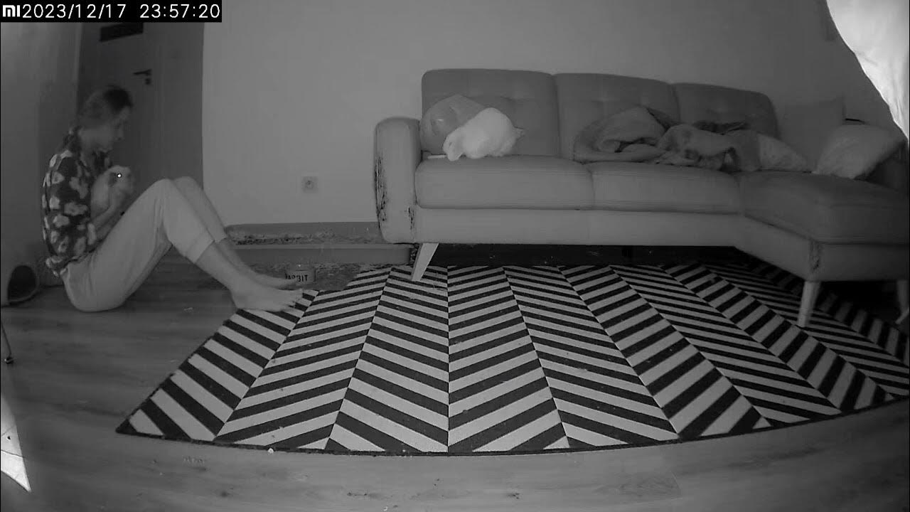 Jealous Bunny Throws A Tantrum Viral YouTube