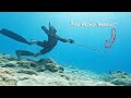 Underwater archery  semiprimitive spearfishing catch  cook