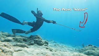 Underwater Archery | Semi-Primitive Spearfishing Catch & Cook