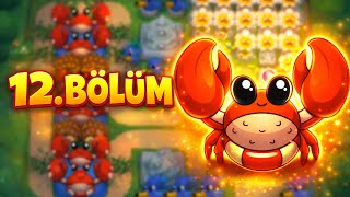 TUTMAC'IN YENGEÇLE İMTİHANI | 12. BÖLÜM EVOLİT