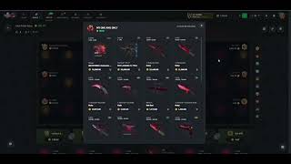 LAST CASE PAID HUGE CSGOROLLPUR