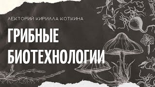 Удивительные грибы: грибные биотехнологии сегодня