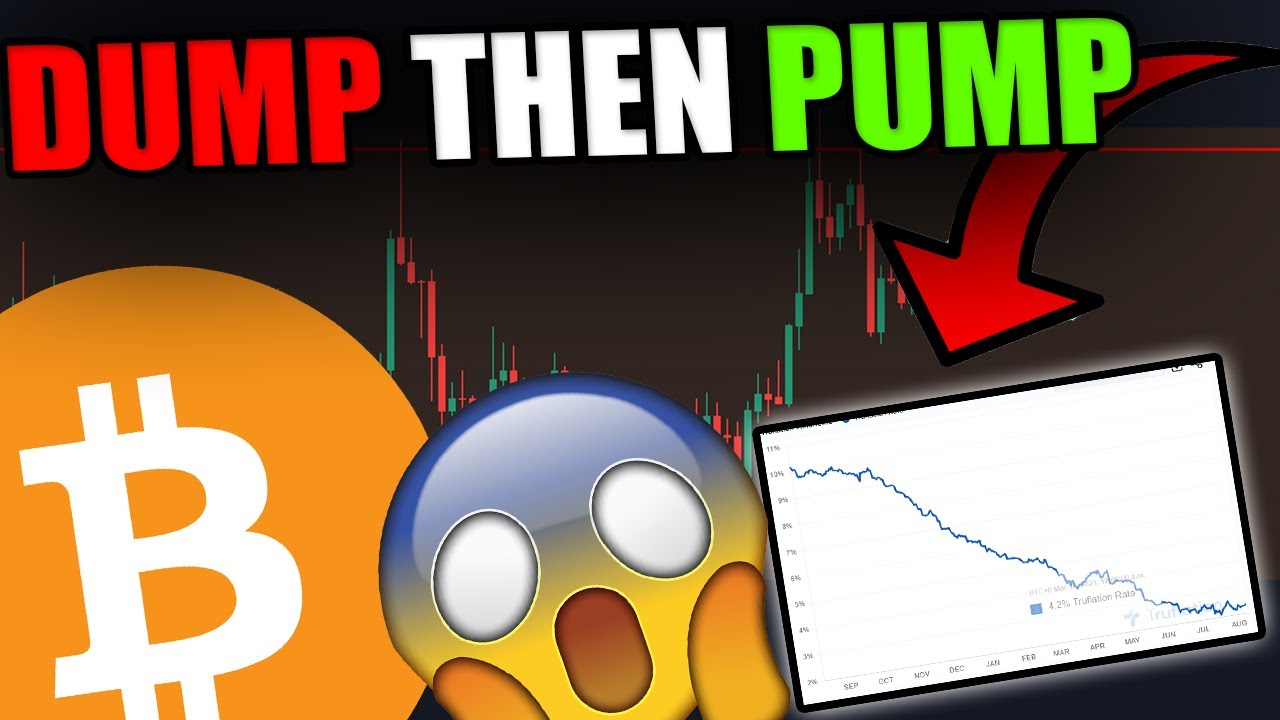 BITCOIN HOLDERS: SMALL DUMP THEN PUMP? THIS CHART REVEALS THE TRUTH