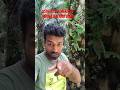 uske hi Dil Mein ab rehna Hai har Dam #short#bollywoodmusic #shortsভিডিও YouTube viral