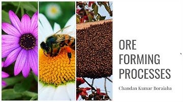 Ore forming processes