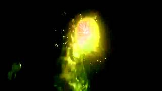 PYROFANS.EU - Show of fireworks