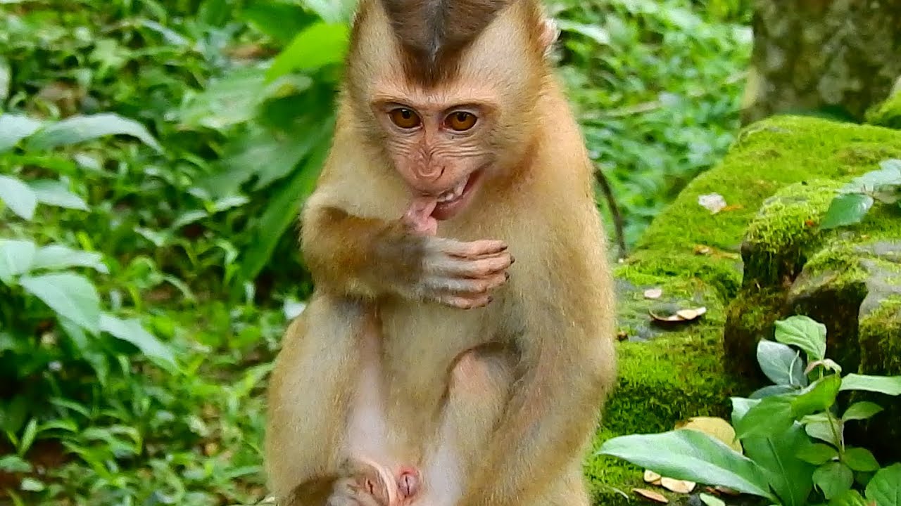 POOR ALEX SHOUT CRIES EXTREMELY…WHAT IS WRONG HAPPEN WITH POOR ALEX?